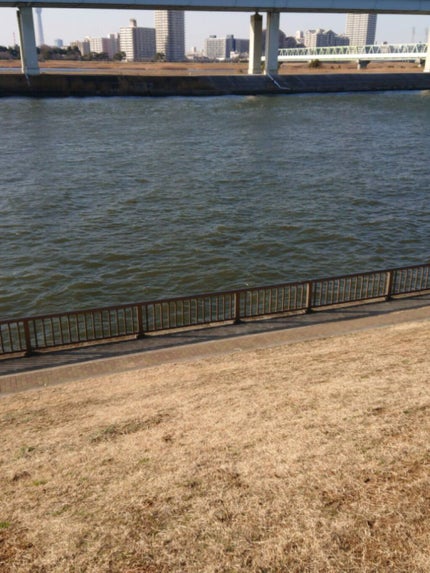 にゃーにゃ一団 on LIPS 「今日は風が強かったけどお昼🍴食べた後にまたみんなでいつものよう..」(3枚目)