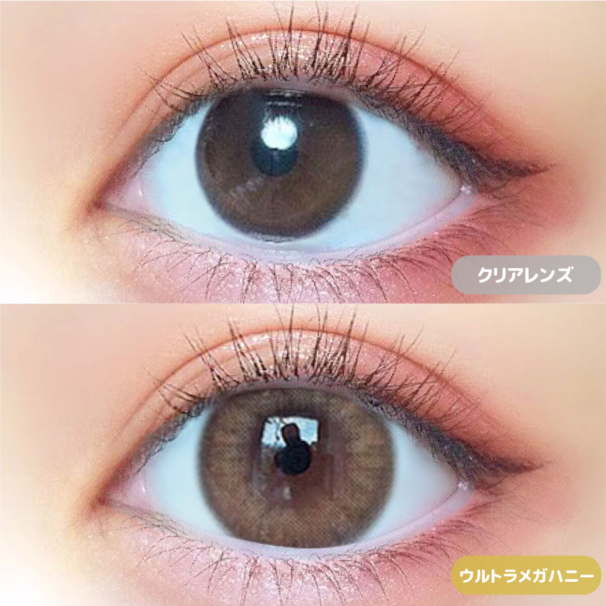 超モテコンウルトラワンデー ウルトラメガハニー