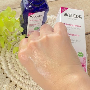 WELEDA ワイルドローズ モイスチャーローションのクチコミ「✭
ワイルドローズ モイスチャーローション

「美」と「調和」の象徴、ワイルドローズがうるおい.....」（3枚目）