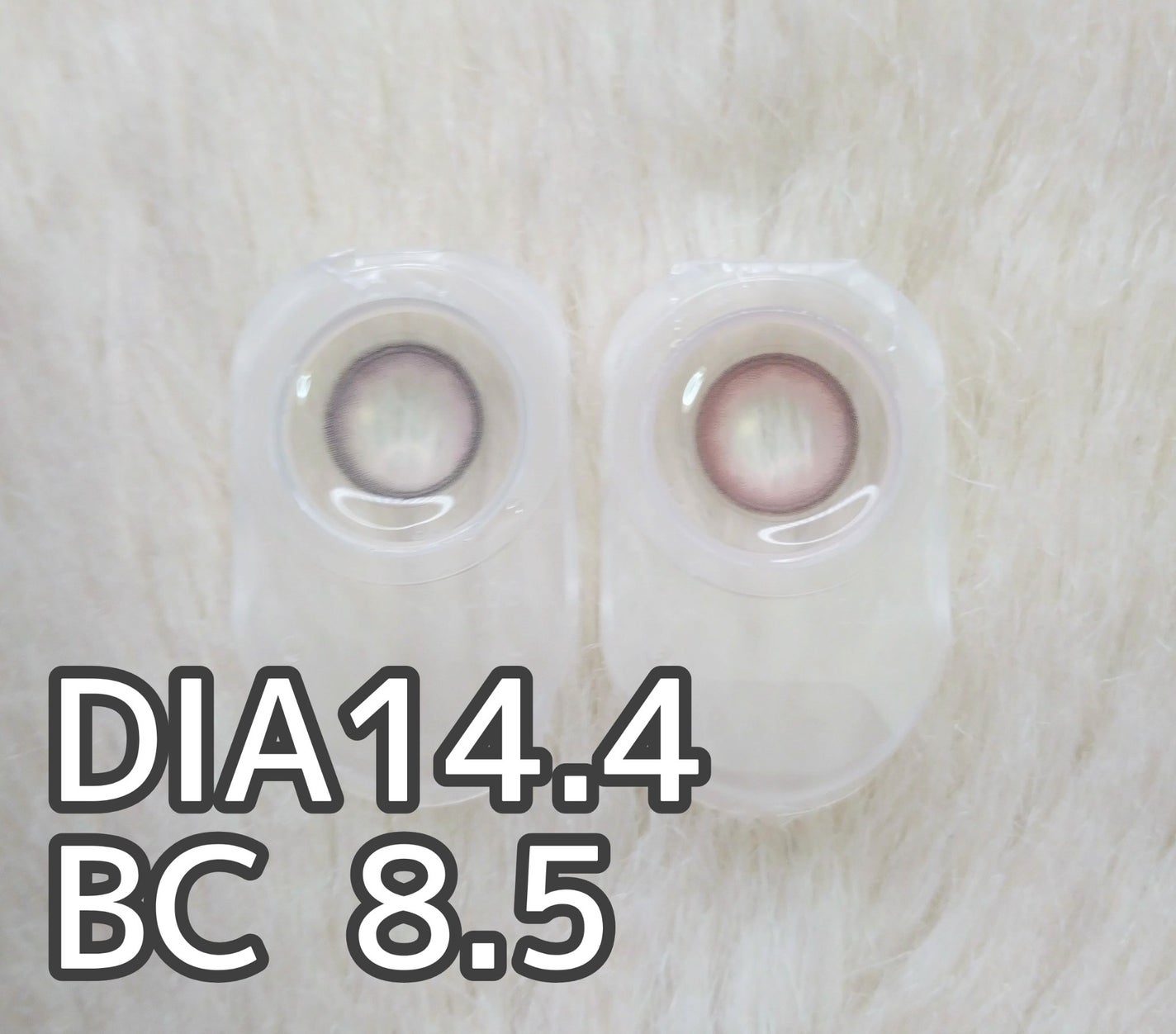 Angelcolor Bambi Series 1day /AngelColor/ワンデー(1DAY)カラコンを使ったクチコミ(2枚目)