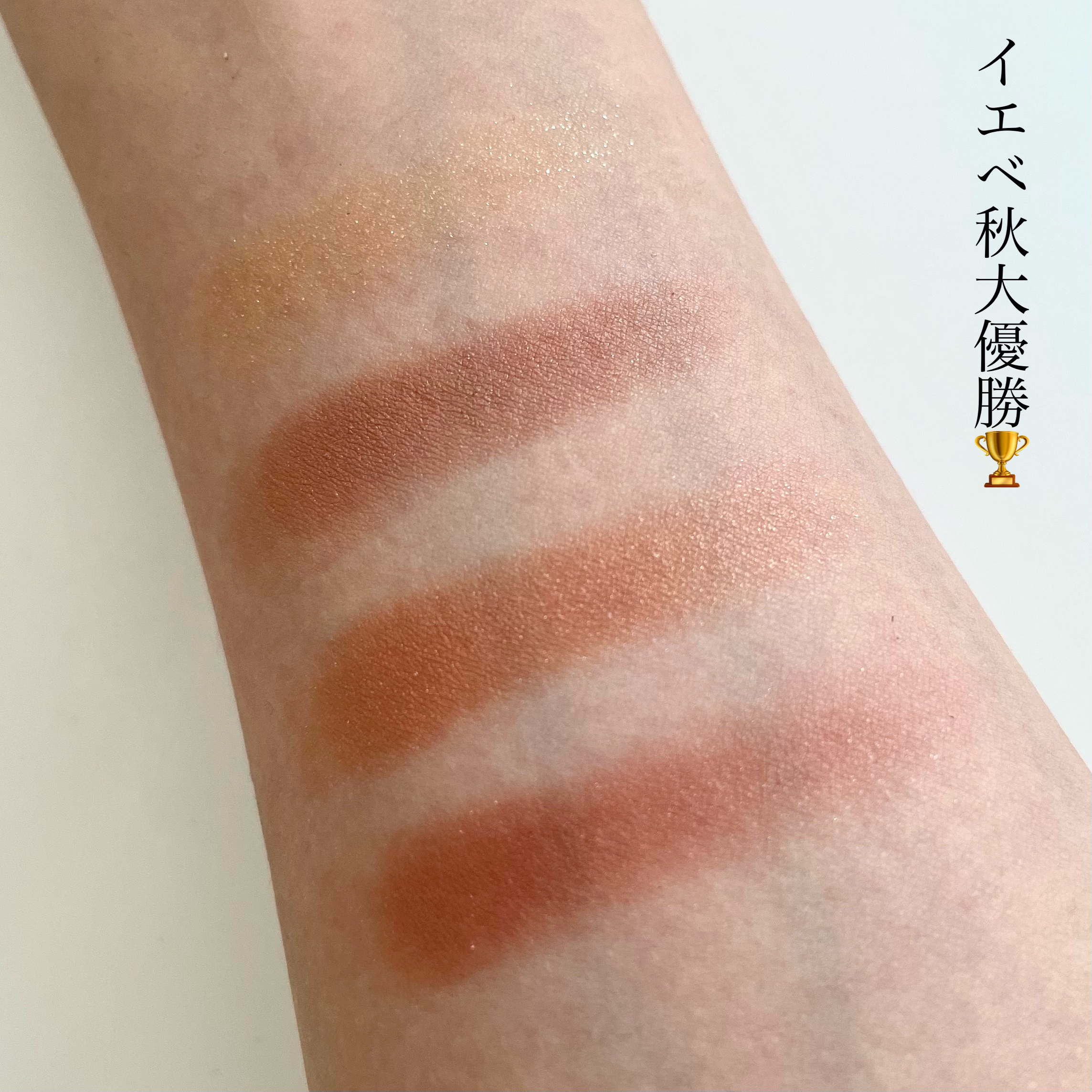 アディクション　ザ アイシャドウ パレット 007 Hidden Copper/ADDICTION/アイシャドウパレットを使ったクチコミ（3枚目）