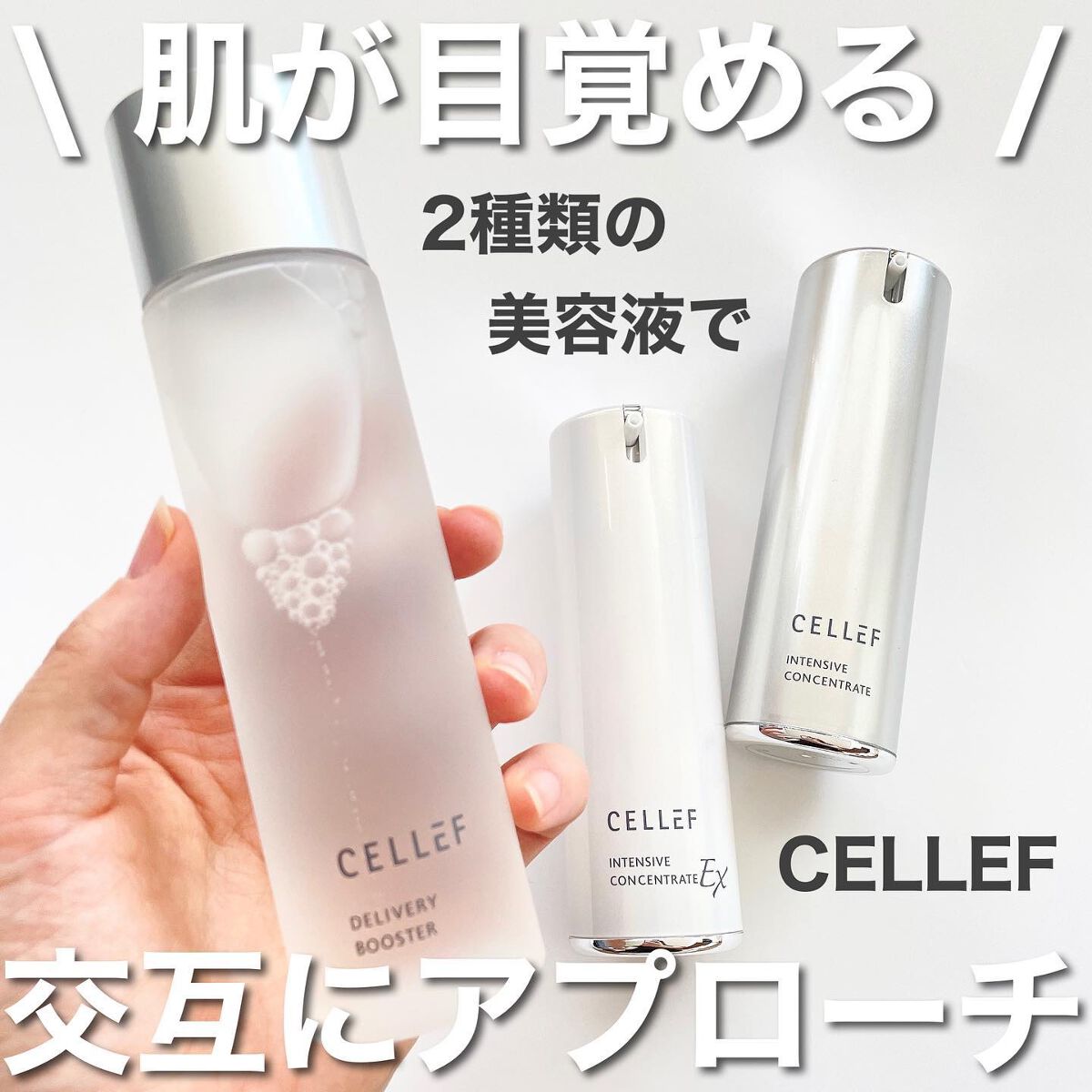 インテンシブ コンセントレート/セルエフ/美容液を使ったクチコミ（1枚目）