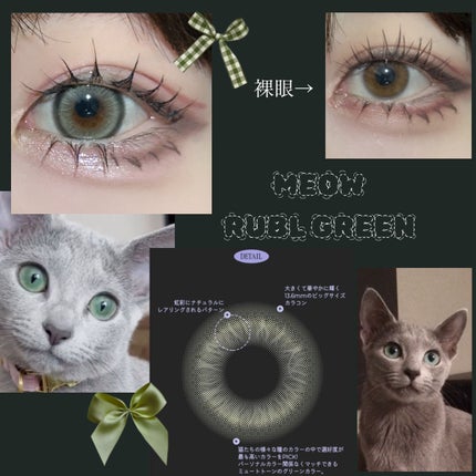 MEOW(ミヤオ) 1month/OLOLA/1ヶ月(1MONTH)カラコンを使ったクチコミ(2枚目)
