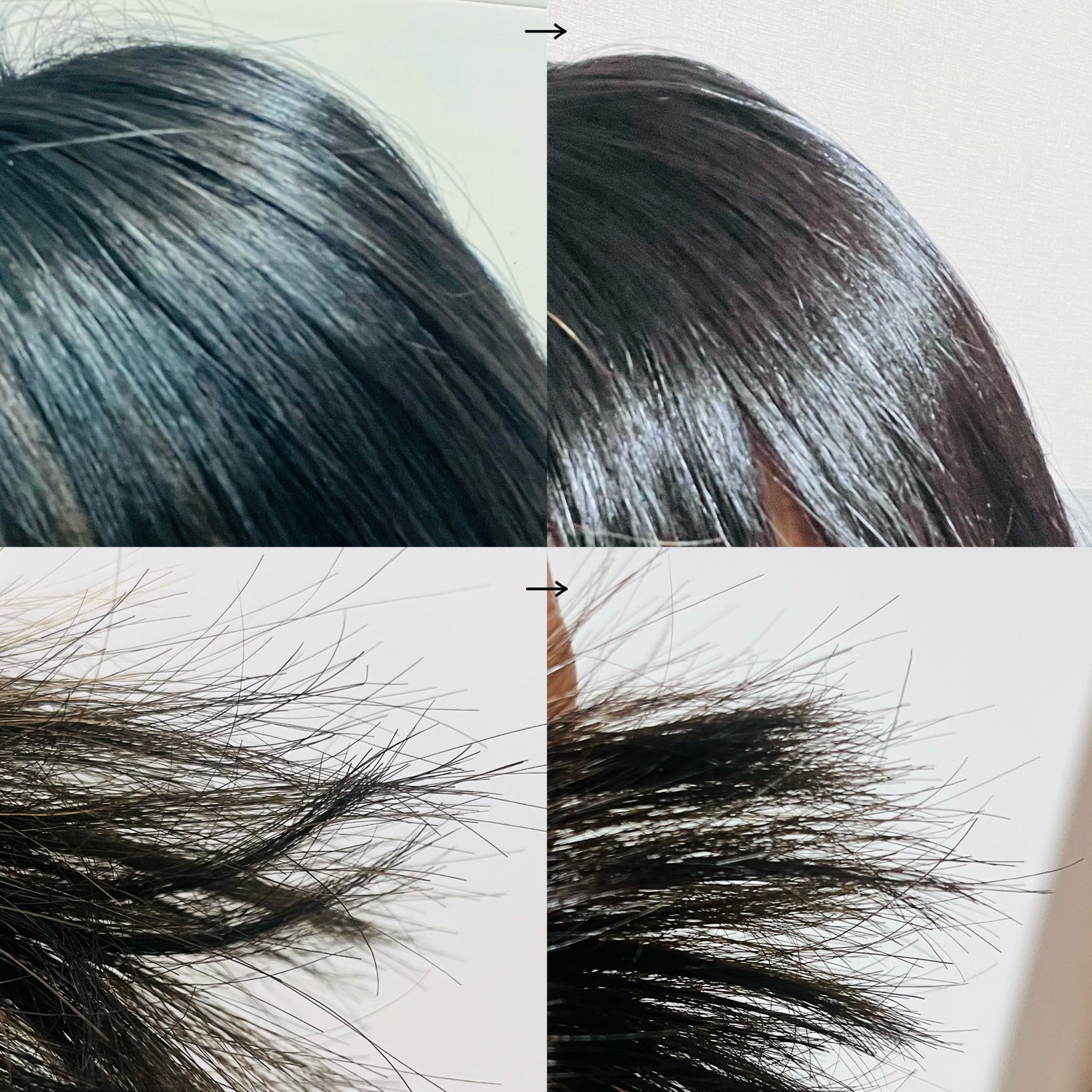 ãããð§ž on LIPS ã#PRéåœã®ãµãã³ã¯ãªãªãã£ãã¢ã±ã¢ãã©ã³ããã°ã©ããã¯ã¹(G..ãïŒ5æç®ïŒ