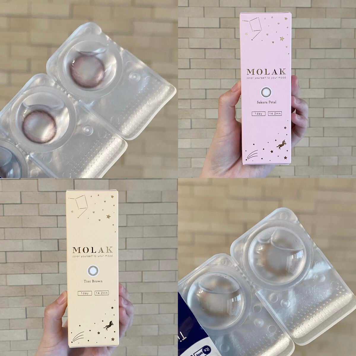 MOLAK 1day/MOLAK/ワンデー(1DAY)カラコンを使ったクチコミ(4枚目)