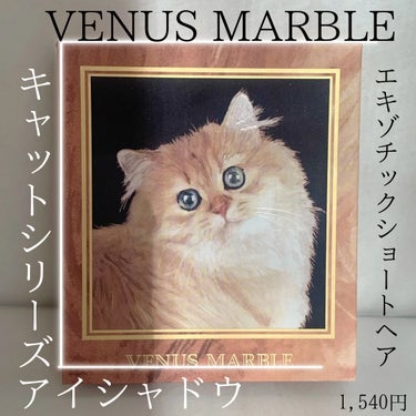 Venus Marble アイシャドウキャットシリーズ/Venus Marble/パウダーアイシャドウを使ったクチコミ（2枚目）