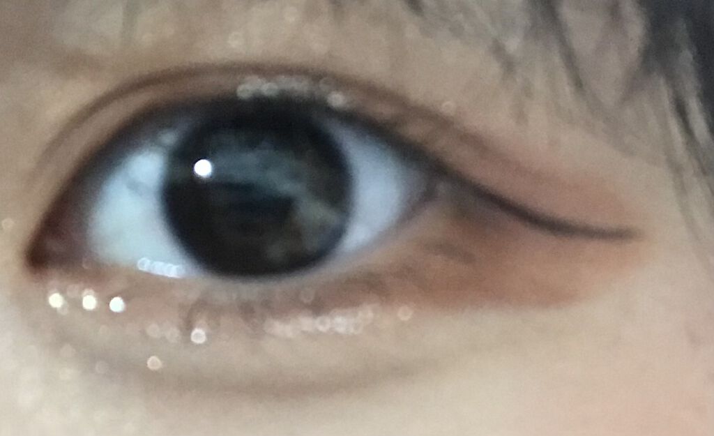 ベアシャドウパレット/フォレンコス/アイシャドウパレットを使ったクチコミ（2枚目）