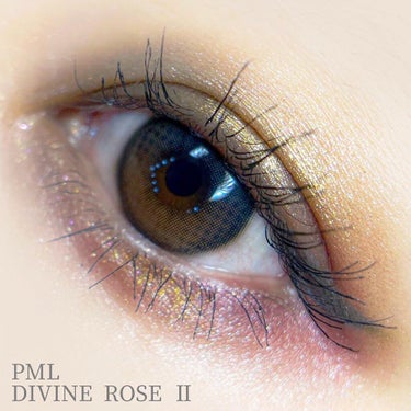 MOTHERSHIP VIII: DIVINE ROSE II/PAT McGRATH LABS/アイシャドウパレットを使ったクチコミ（2枚目）