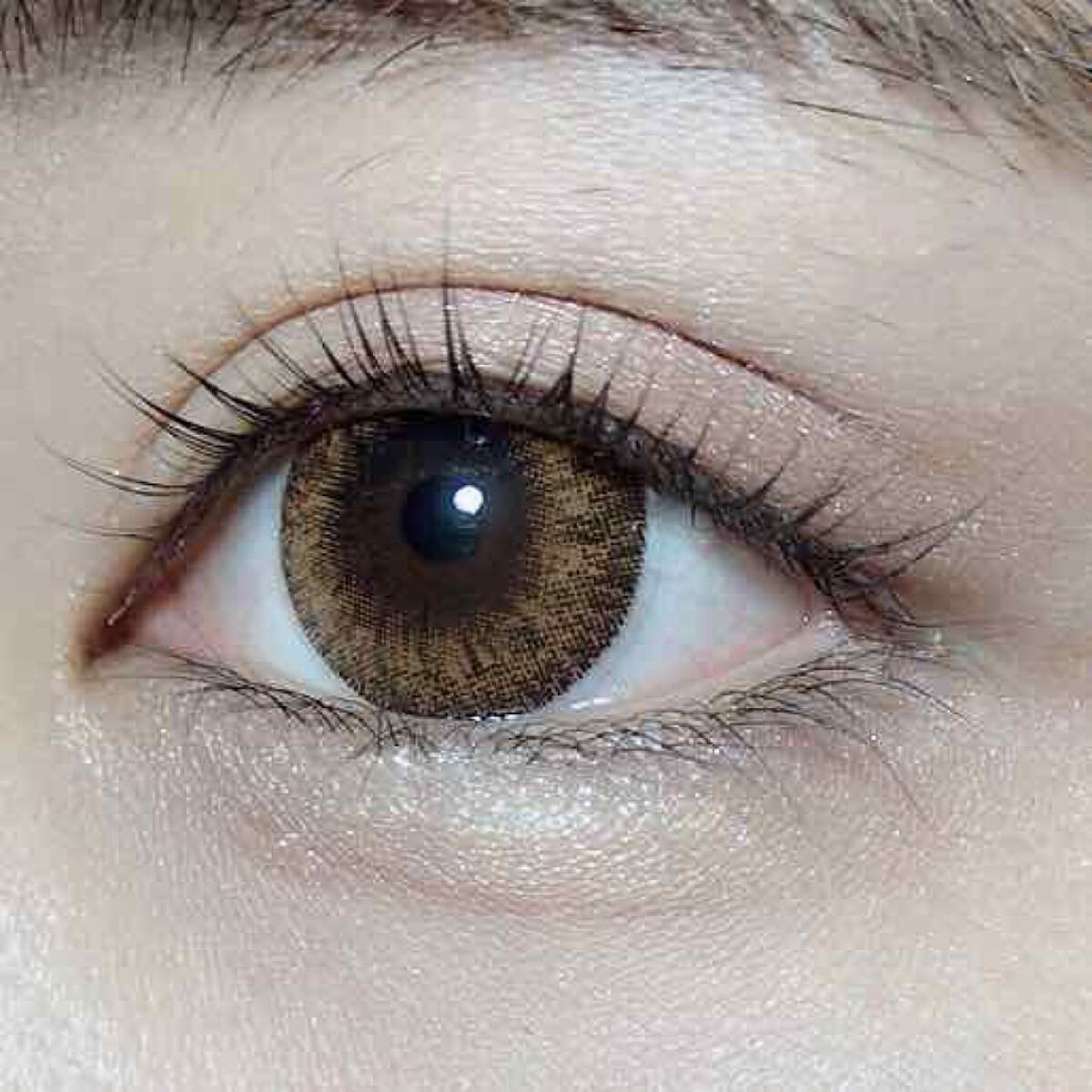 ReVIA 1day [COLOR] Gypsy Amber（ジプシーアンバー）