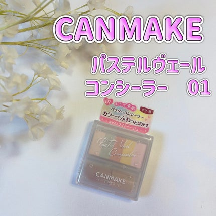 パステルヴェールコンシーラー/キャンメイク/パレットコンシーラーを使ったクチコミ(1枚目)