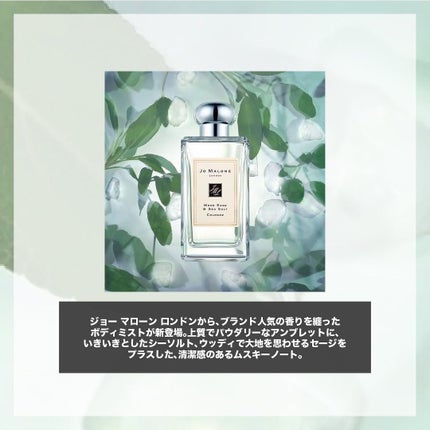 ウッド セージ & シー ソルト ボディ ミスト/Jo MALONE LONDON/香水(その他)を使ったクチコミ(2枚目)
