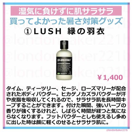 100%完全遮光 日傘/Rose Blanc/日傘を使ったクチコミ(1枚目)