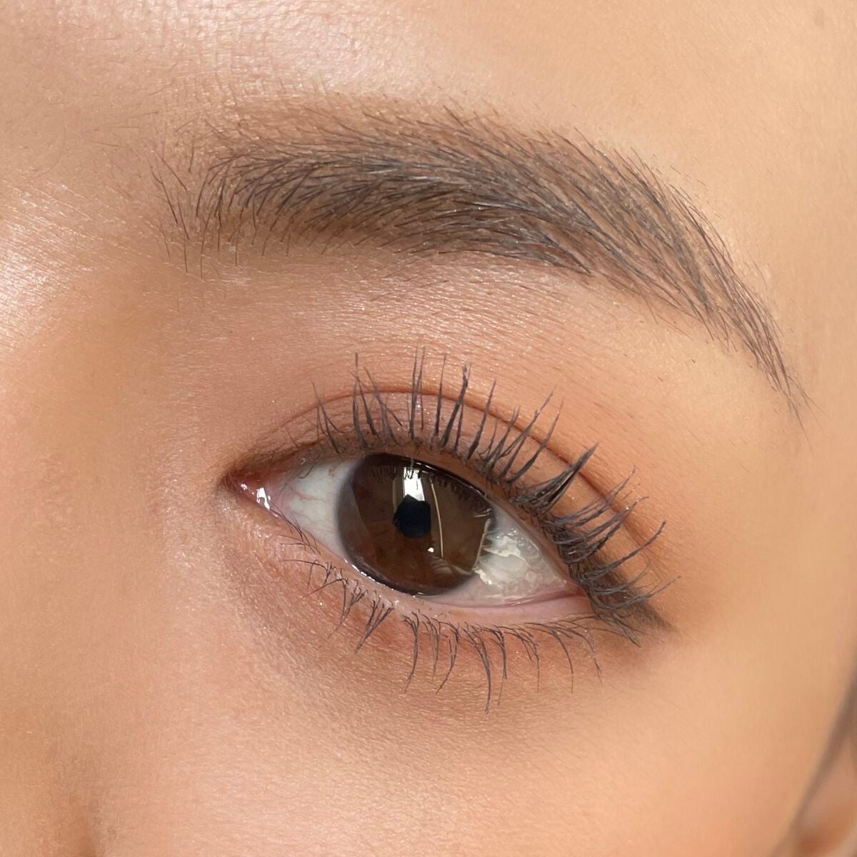 パーフェクトマルチアイズ/キャンメイク/アイシャドウパレットを使ったクチコミ(4枚目)