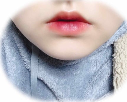 フルグラマーリップス/LUNASOL/口紅を使ったクチコミ(2枚目)