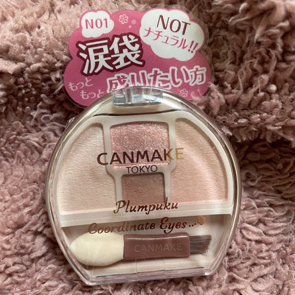 プランぷくコーデアイズNeo/キャンメイク/アイシャドウを使ったクチコミ(1枚目)