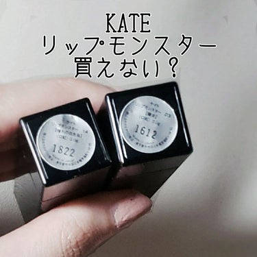 KATE リップモンスター
03陽炎
14憧れの日光浴
を購入しました。

10:00オープンの駅チカのココカラファインに、10:30前頃に着いたら、置いてありました！

※参考: https://li