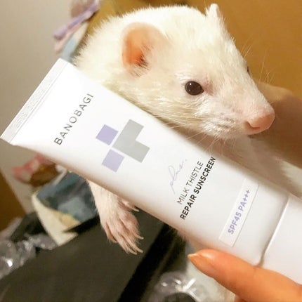 ミルクシスルリペアシカサンスクリーンプラス/BANOBAGI/日焼け止めミルクを使ったクチコミ(4枚目)