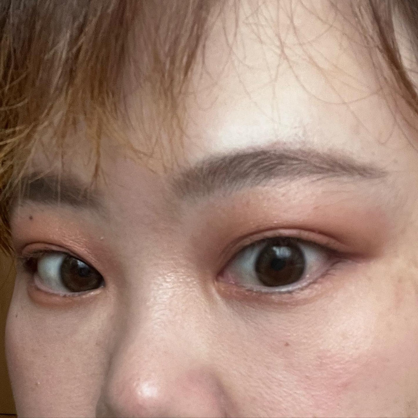 TOPARDS 1day/TOPARDS/ワンデー(1DAY)カラコンを使ったクチコミ(1枚目)