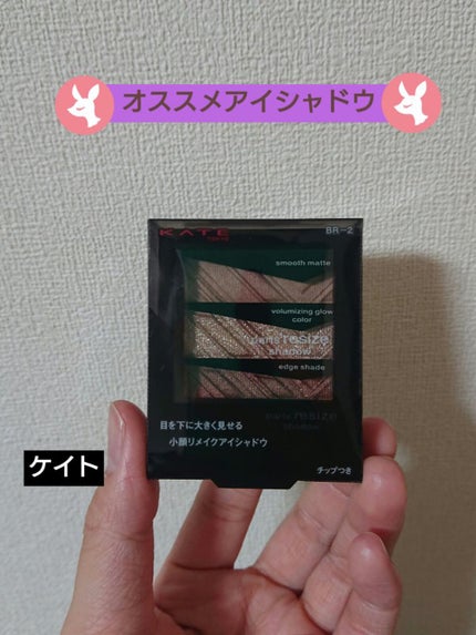 パーツリサイズシャドウ/KATE/アイシャドウパレットを使ったクチコミ(1枚目)