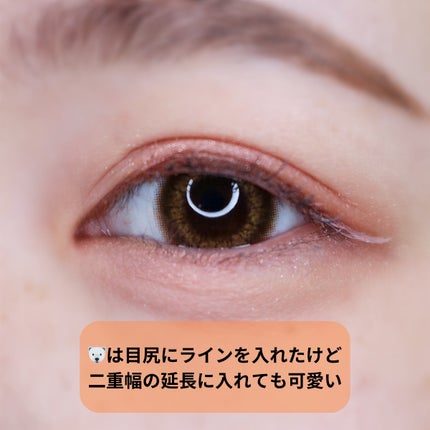 アイジェニックカラーライナー/CEZANNE/アイライナーを使ったクチコミ(6枚目)