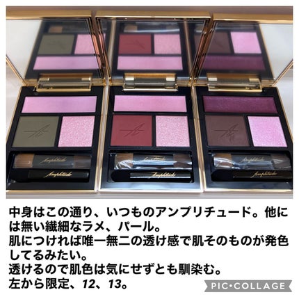 コンスピキュアス アイズ/Amplitude/アイシャドウパレットを使ったクチコミ(3枚目)