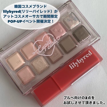 ムードライアー ベルベットティント 04 エレガントワイルドベリー(Elegant Wild Berry)/lilybyred/口紅を使ったクチコミ（2枚目）