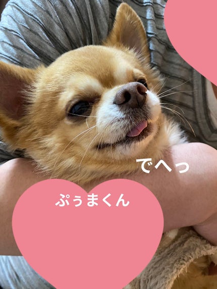 カラフルネイルズ/キャンメイク/マニキュアを使ったクチコミ(5枚目)