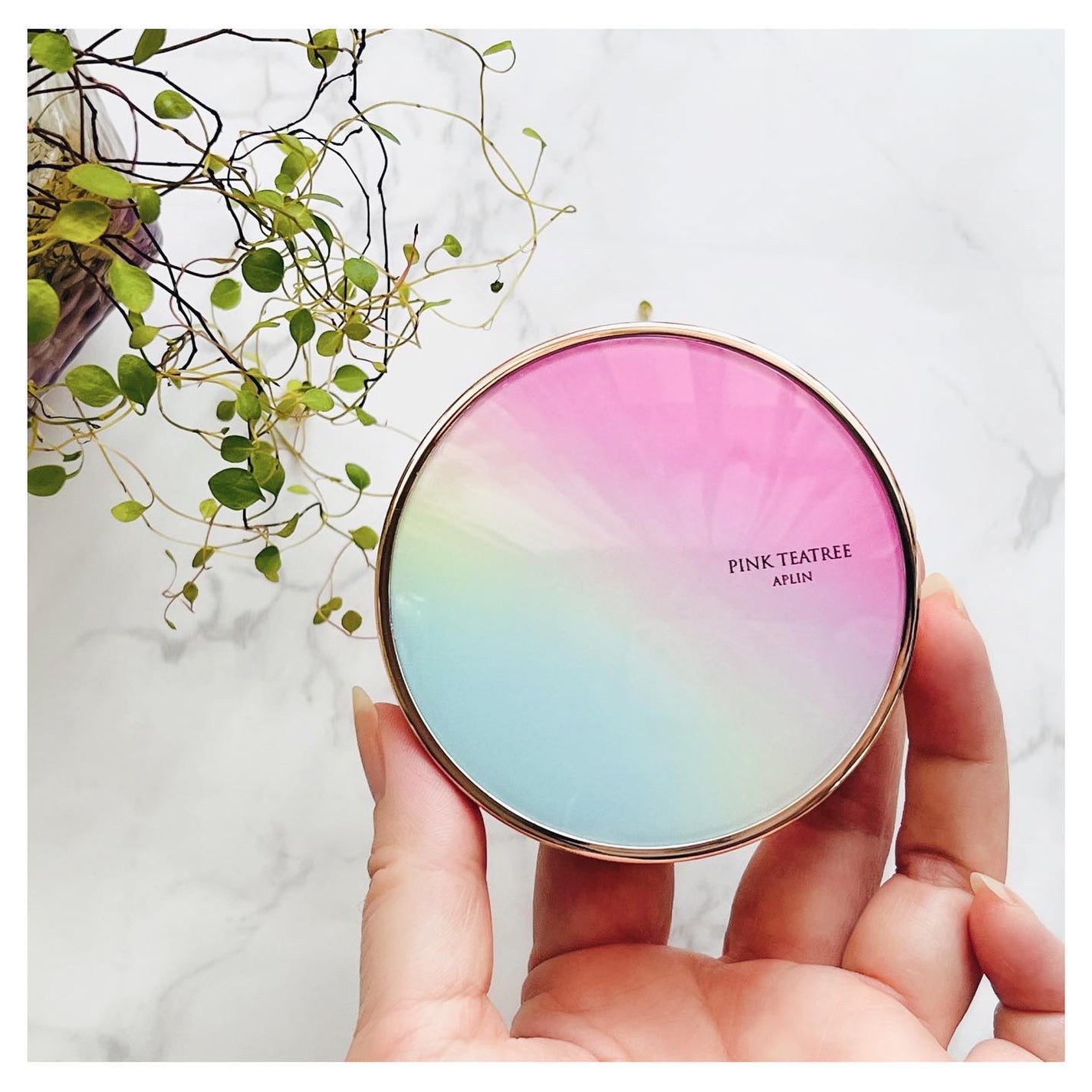 ピンクティーツリーカバークッション/APLIN/クッションファンデーションを使ったクチコミ(2枚目)