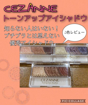 トーンアップアイシャドウ/CEZANNE/アイシャドウパレットを使ったクチコミ（1枚目）