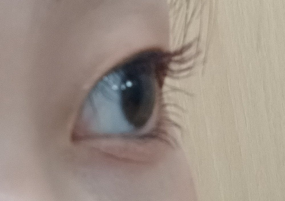 ラッシュエキスパンダー ロングロングロング EX (フローティング)/MAJOLICA MAJORCA/マスカラを使ったクチコミ(3枚目)