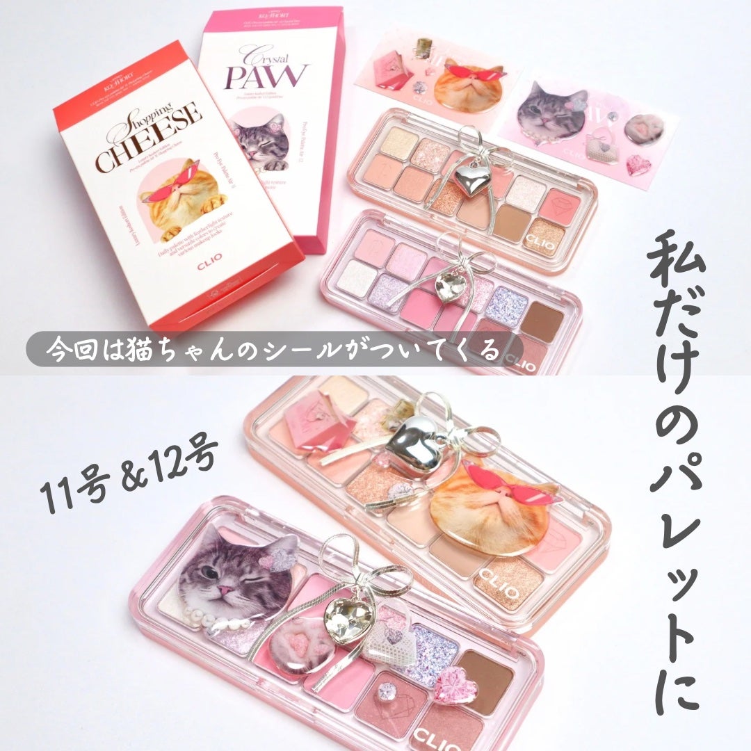 プロ アイ パレット エアー/CLIO/アイシャドウパレットを使ったクチコミ(2枚目)