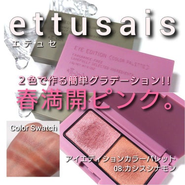 アイエディション(カラーパレット)/ettusais/アイシャドウパレットを使ったクチコミ（1枚目）