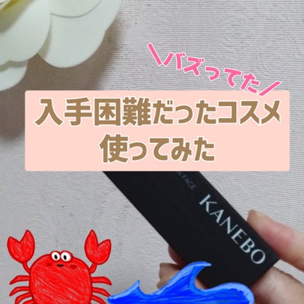 シャドウオンフェース/KANEBO/シェーディングを使ったクチコミ(1枚目)