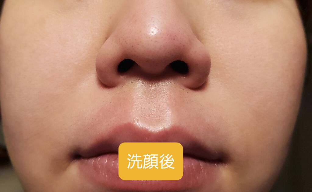 White Snow Mist 〜雪模様〜/Shiro no Sakura./ミスト状化粧水を使ったクチコミ（2枚目）