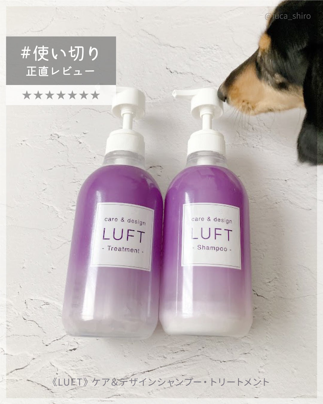 ケア&デザインシャンプーD/トリートメントD/LUFT/市販シャンプーを使ったクチコミ(1枚目)