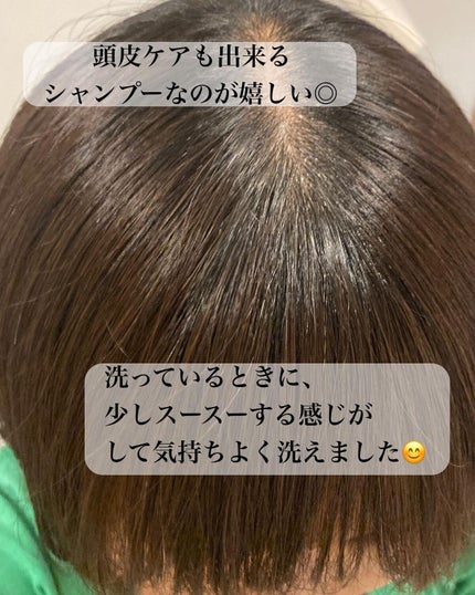 クレイクリームシャンプー(モイスト)/cocone/市販シャンプーを使ったクチコミ(5枚目)