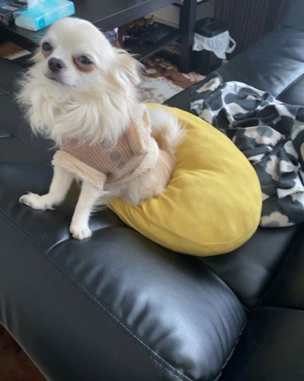 レディ トゥ クレンズ ミルク/GIVENCHY/ミルククレンジングを使ったクチコミ(4枚目)