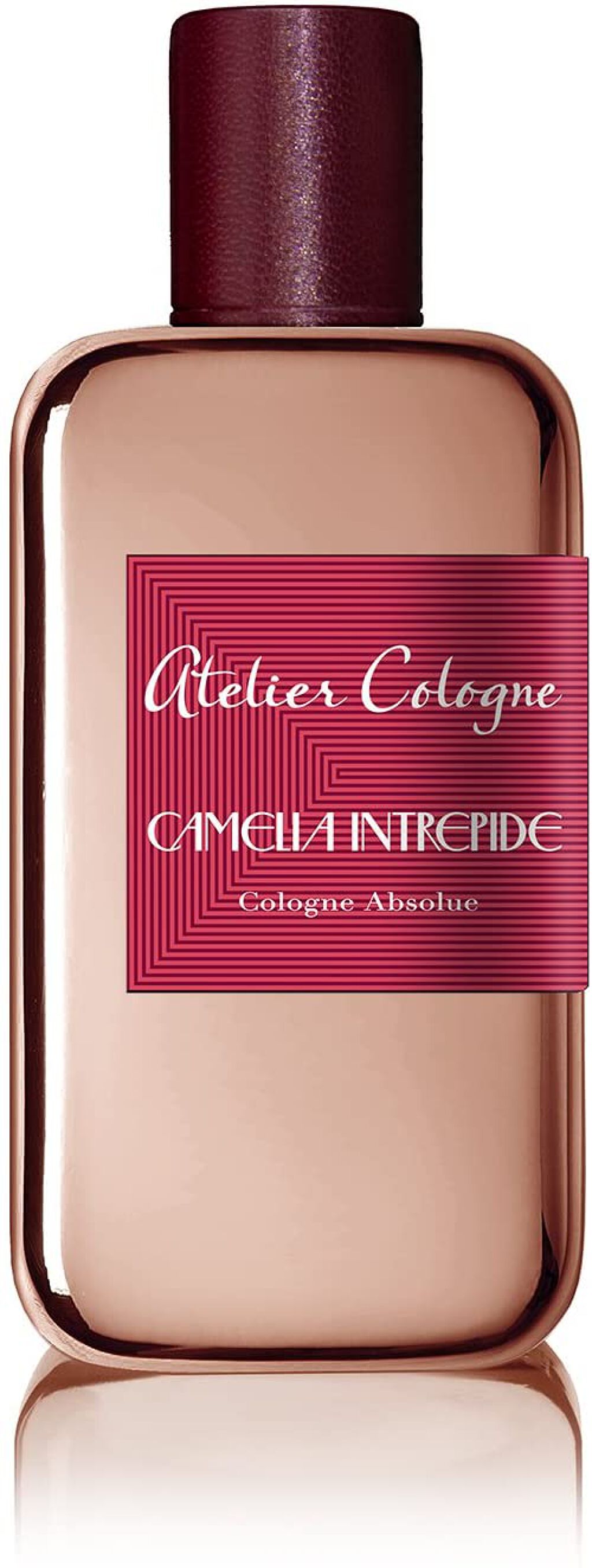 Camelia Intrepide 100ml