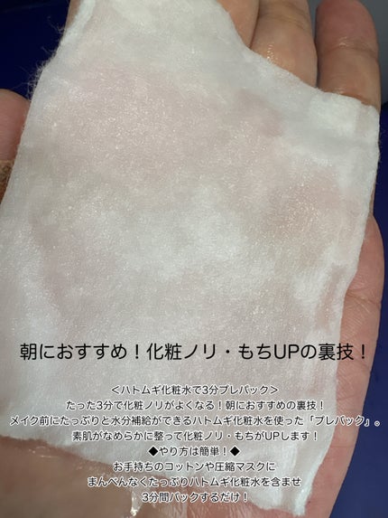 ハトムギ化粧水(ナチュリエ スキンコンディショナー R )/ナチュリエ/化粧水を使ったクチコミ(3枚目)