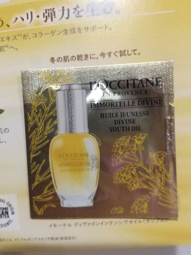 イモーテル ディヴァインインテンシヴオイル/L'OCCITANE/ブースター・導入液を使ったクチコミ（1枚目）