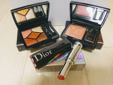 サンク クルール<ワイルド アース＞/Dior/アイシャドウパレットを使ったクチコミ（3枚目）