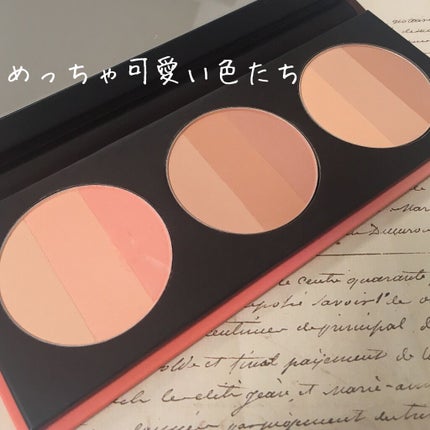 バイロダン アートパレットⅡ/too cool for school/メイクアップキットを使ったクチコミ(2枚目)