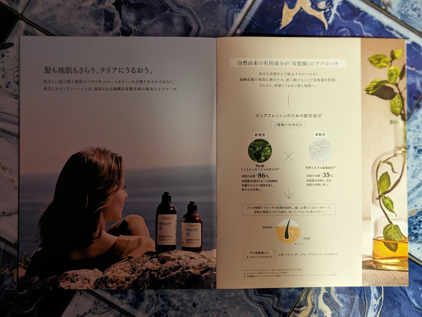 ピュアフレッシュ シャンプー/ コンディショナー/L'OCCITANE/市販シャンプーを使ったクチコミ(9枚目)