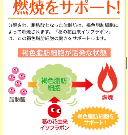 シボヘール/ハーブ健康本舗/健康サプリメントを使ったクチコミ(5枚目)