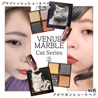 Venus Marble アイシャドウキャットシリーズ ブリティッシュショートヘア/Venus Marble/アイシャドウパレットを使ったクチコミ（1枚目）