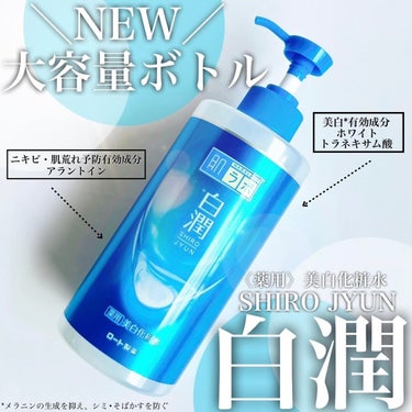 白潤薬用美白化粧水 400ml（大容量ポンプ）/肌ラボ/化粧水を使ったクチコミ（1枚目）