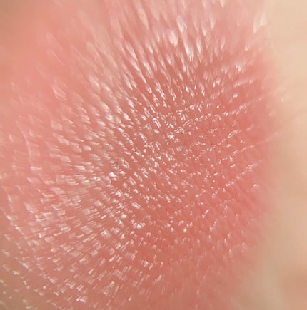 アプリコット スティックグロス/ETUDE/リップグロスを使ったクチコミ(3枚目)