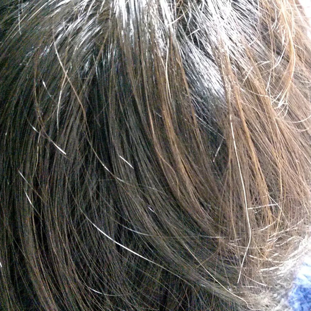 クリアリーカラー (白髪用)  ビターブラウン/クレオディーテ/ヘアカラーを使ったクチコミ（3枚目）