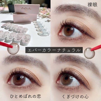 エバーカラーワンデー ナチュラル/エバーカラー/ワンデー(1DAY)カラコンを使ったクチコミ(3枚目)