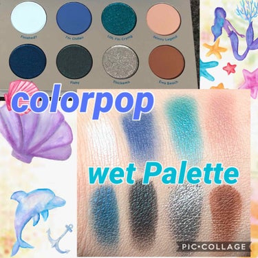 ウェットパレット ColourPop